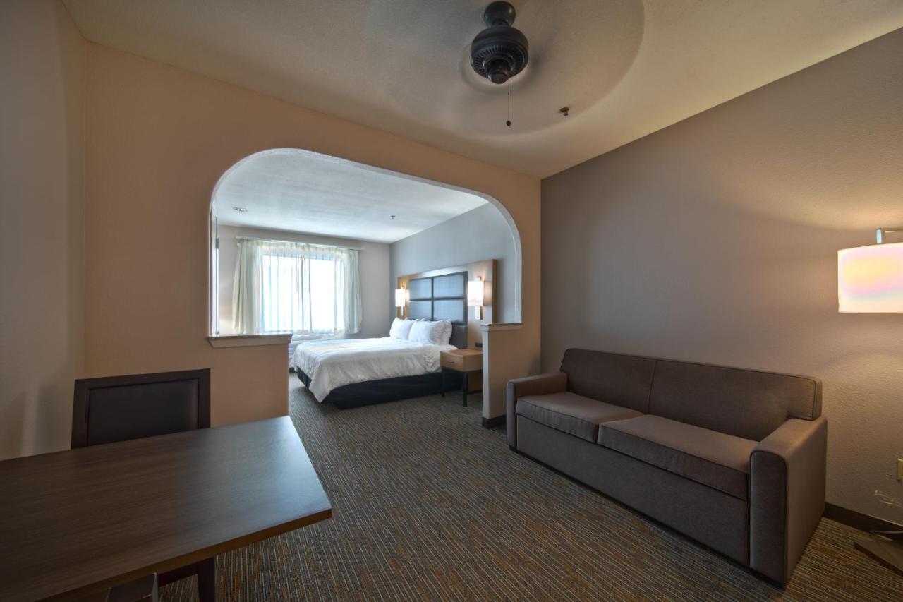 Wingate By Wyndham Houston Bush Intercontinental Airport Hotel Aldine Buitenkant foto